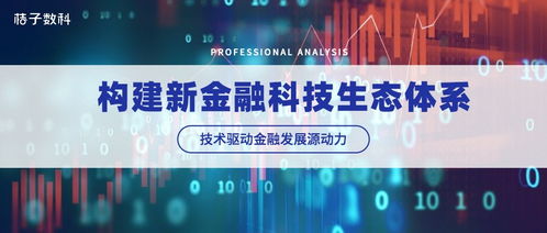 以技術驅動金融發展源動力 桔子數科如何構建新科技金融生態體系